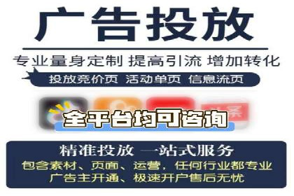 知名SEM公司案例分析：优化策略与成果